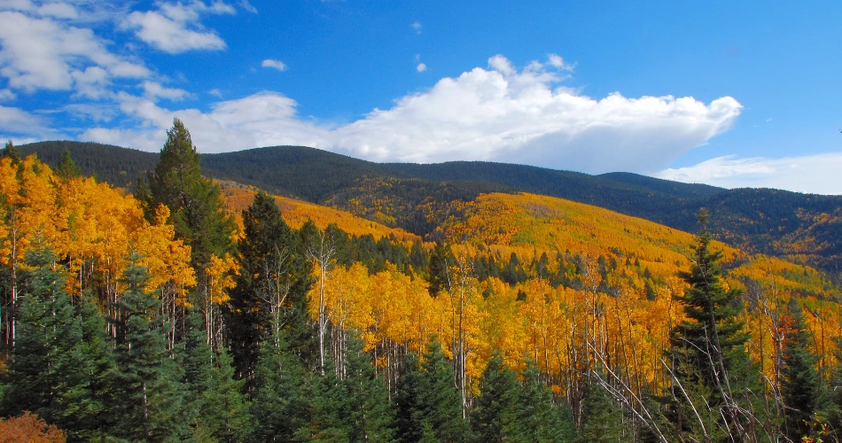 Things to Do in Santa Fe: Culture, Art, and Adventure in the City Different